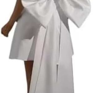 Robe De Mariée Courte Avec Traîne